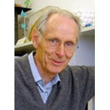 Udo Schwertmann