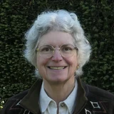 Susan L. S. Stipp