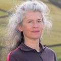 Julia C. Hargreaves
