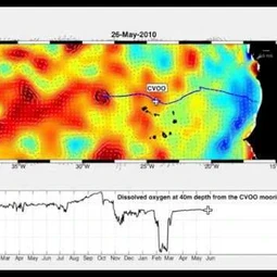 Propagation of a dead-zone eddy in the tropical North Atlantic Ocean