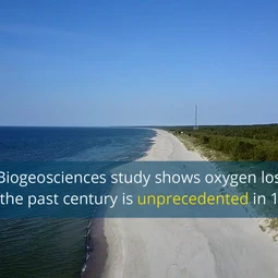 Video summary: Oxygen loss in the coastal Baltic Sea is “unprecedentedly severe”