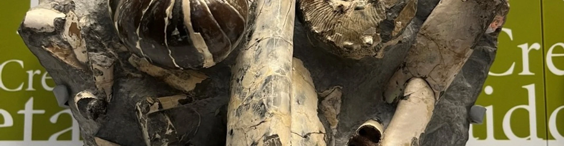 Picture2.jpg