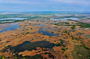 Beautiful image from Danube delta