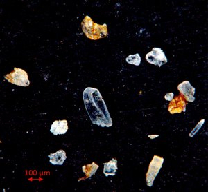 Cryogenic gypsum isolated from living Melosira arctica hanging from icefloes during the PS 106 expedition