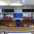 Hemicycle EU Parliament with member flags close up at rear.JPG