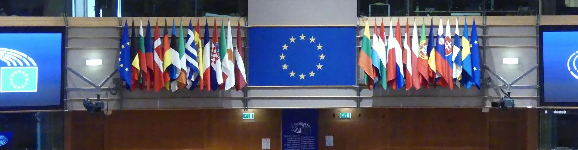 Hemicycle EU Parliament with member flags close up at rear.JPG
