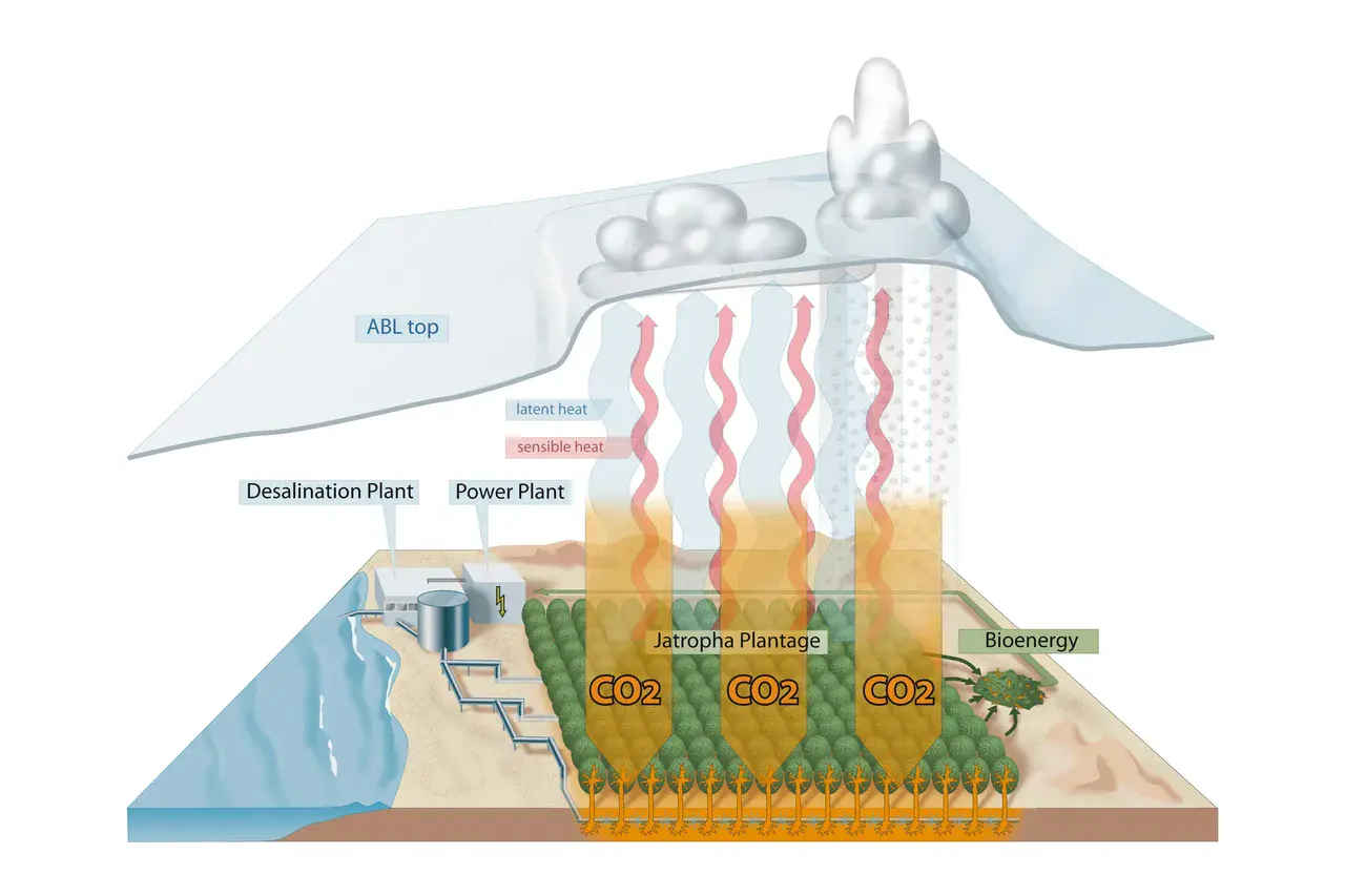 Processes involved in carbon farming (Credit: Becker et al. 2013)
