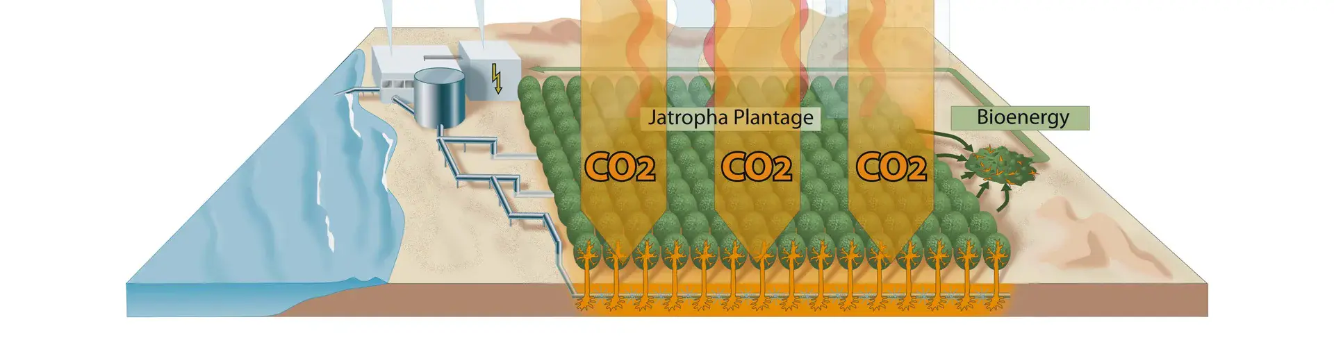 Processes involved in carbon farming (Credit: Becker et al. 2013)