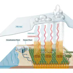 Processes involved in carbon farming