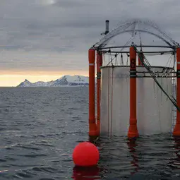 Mesocosm off the coast of Svalbard