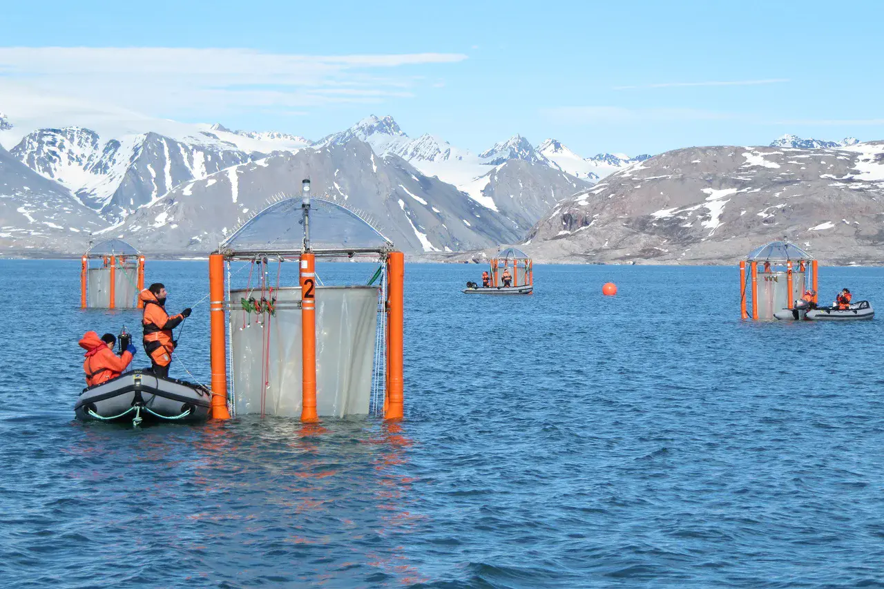 Scientists checking the mesocosms off the coast of Svalbard (Credit: Ulf Riebesell/GEOMAR)
