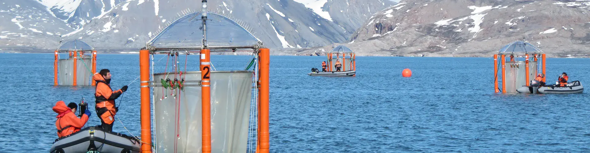 Scientists checking the mesocosms off the coast of Svalbard (Credit: Ulf Riebesell/GEOMAR)