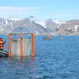 Scientists checking the mesocosms off the coast of Svalbard