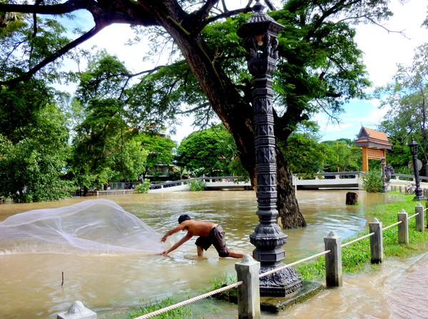 Flooded Mekong Anna Lourantou.jpg
