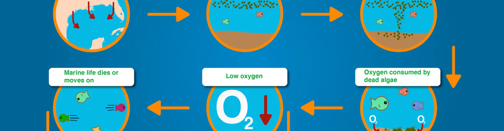 What is a dead zone? (Credit: Earth Gauge)