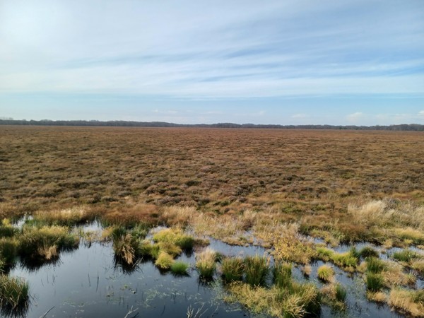 0_Image_Banner_image_from_Imaggeo.jpg