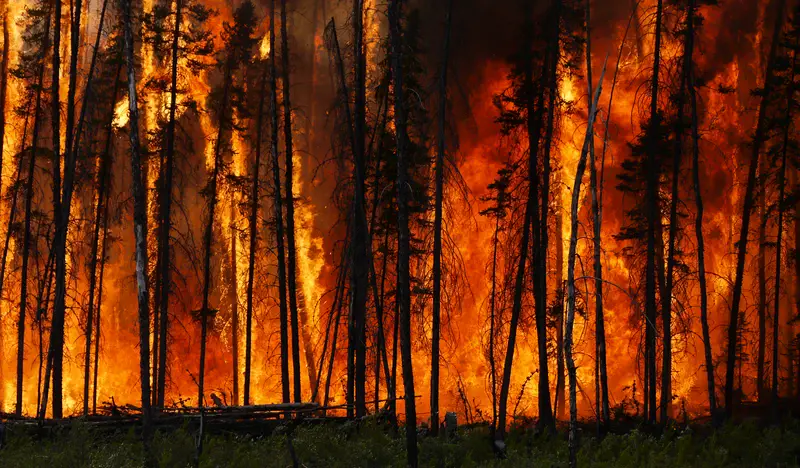 Boreal forest fire in Canada.jpg (Credit: Stefan Doerr, distributed via imaggeo.egu.eu)