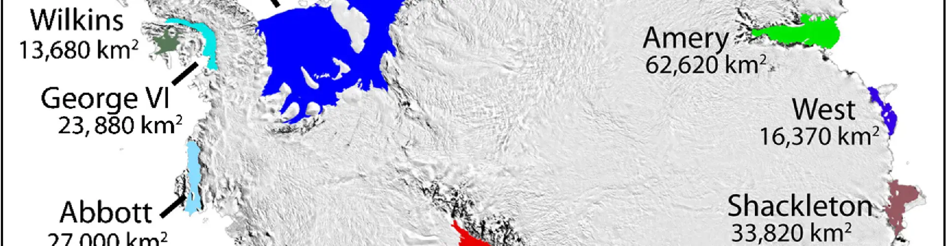 Map showing the locations of Antarctica's ice shelves, including Larsen C (in yellow on the top left), the largest ice shelf in the Antarctic Peninsula. (Credit: Ted Scambos, NSIDC)