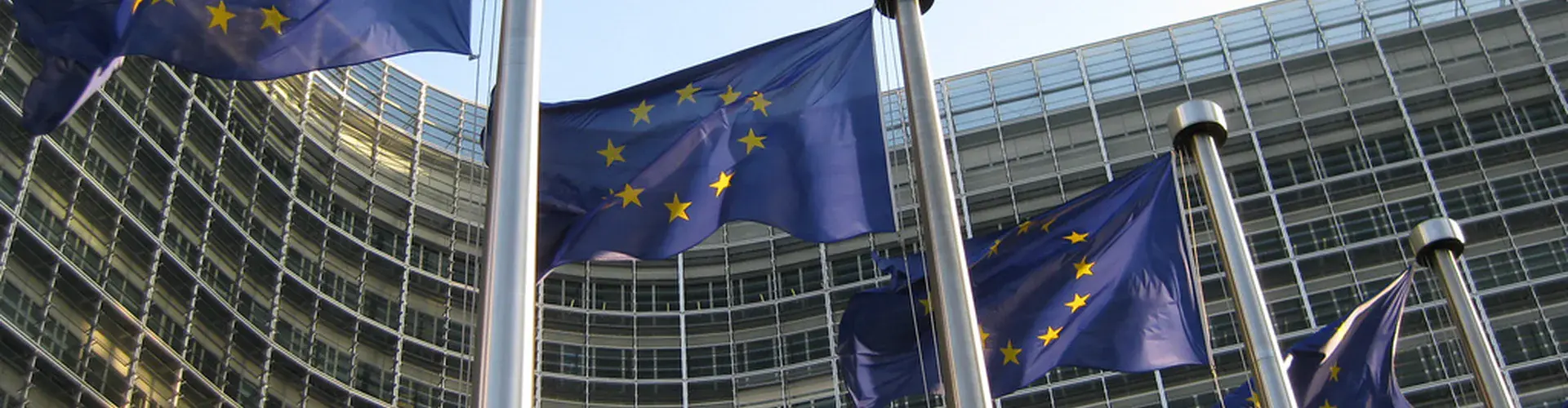 European flags flying in front of the Berlaymont Building in Brussels (Credit: TPCOM, via Flickr)