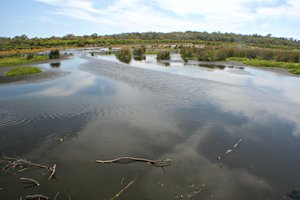 Antonio Jordán - Wetlands Australia imaggeo.jpg