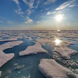 Ponds of melted freshwater (snow) on top of sea ice in the Arctic in summer.