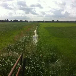 Stream in the Dutch country side where researchers tested their prototype waders