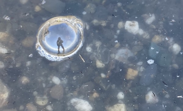 Working in a bubble - Tina Sanders.jpeg