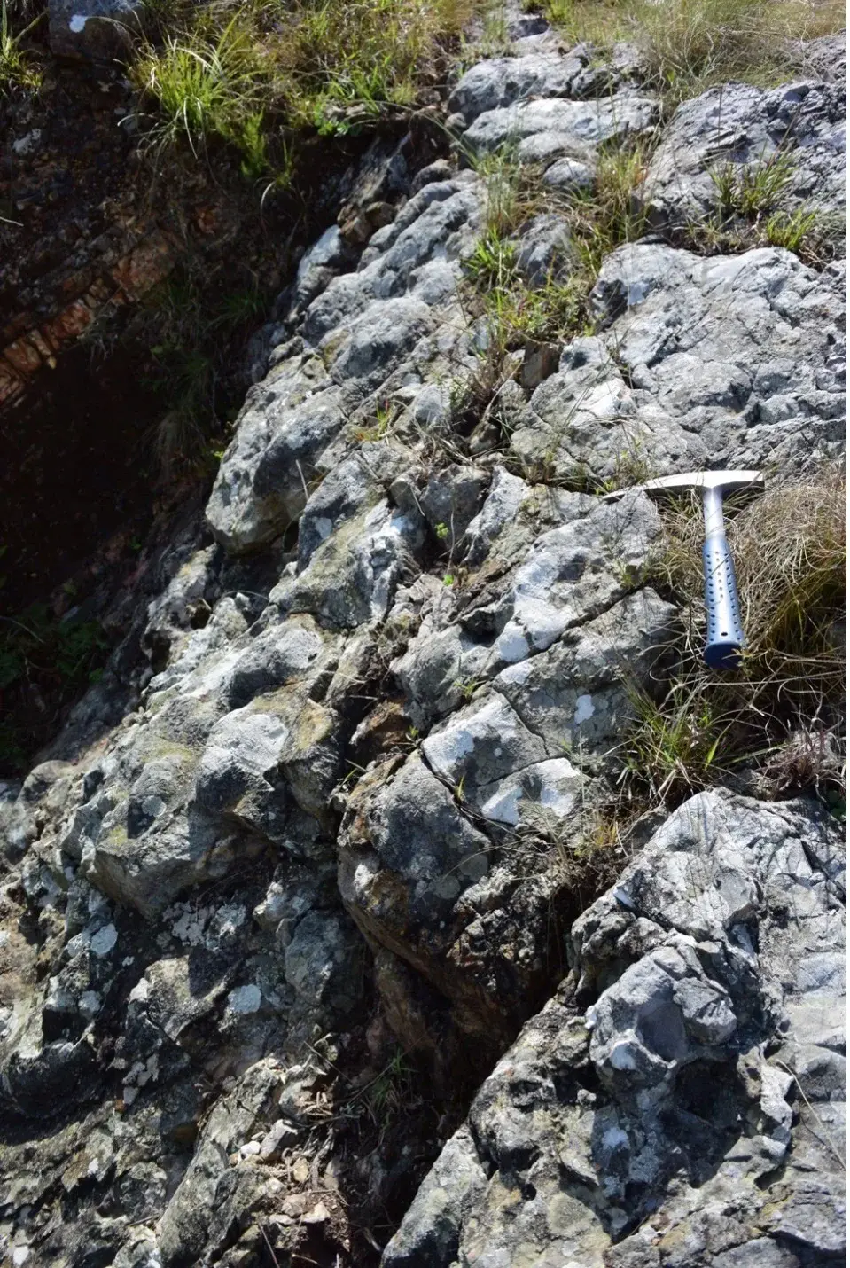 Ancient barite outcrop in South Africa (Credit: Desiree Roerdink)