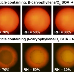 UBC-EGU press release_Phases of SOA particles