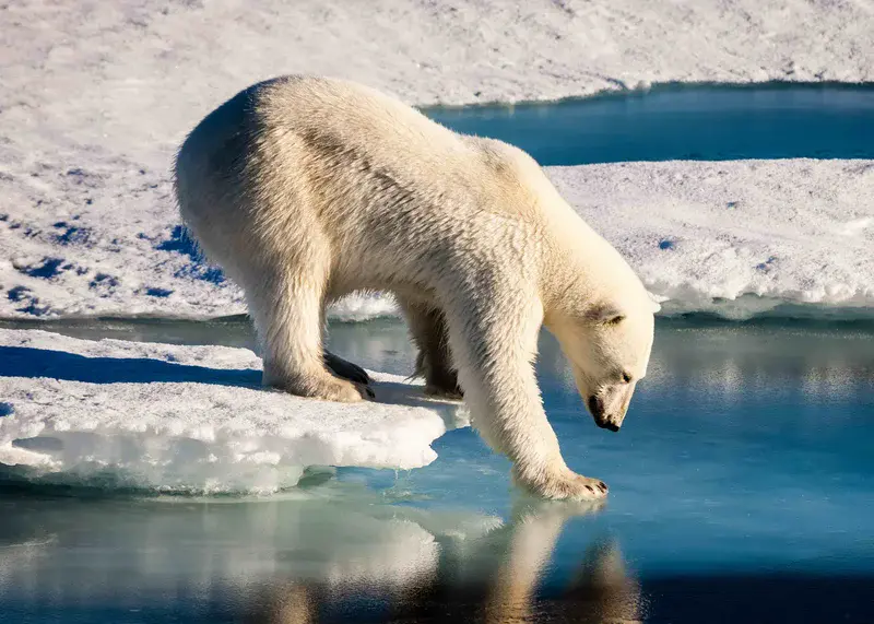Credit: Mario Hoppmann via Imaggeo