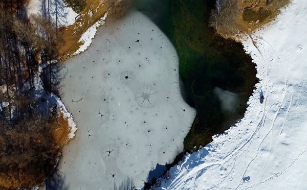 Neurons in ice by Daria Ferraris.jpg