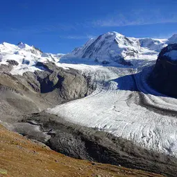 Gorner glacier