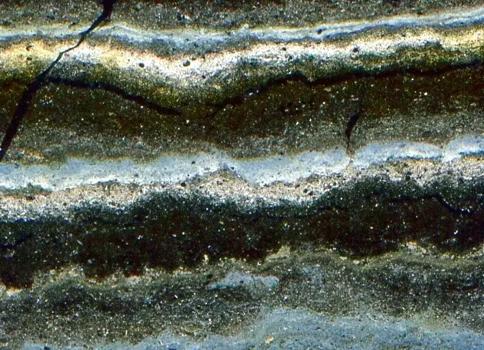 Microscopic view of laminated sediments from Lake Zabinskje in Poland (Credit: Christoph Butz, University of Bern)