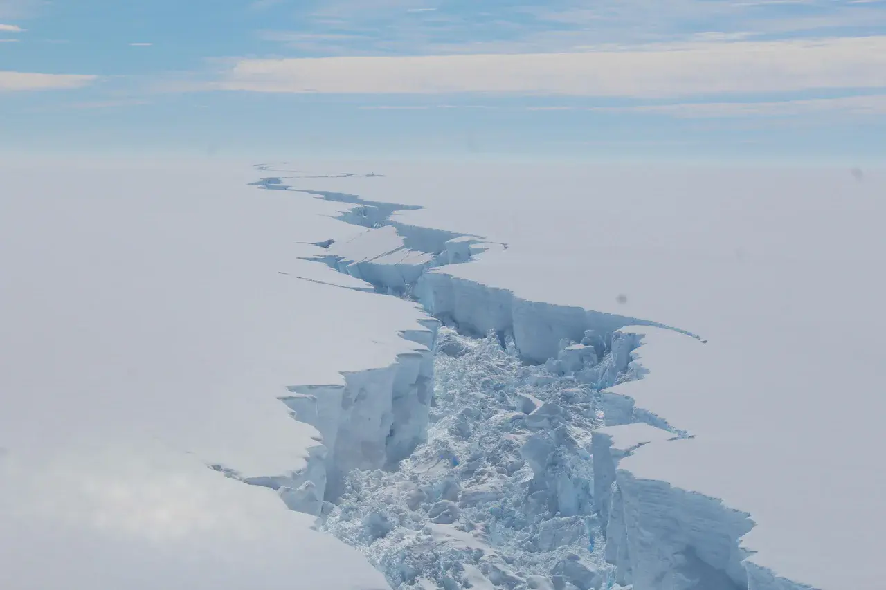 Larsen C rift (Credit: British Antarctic Survey)