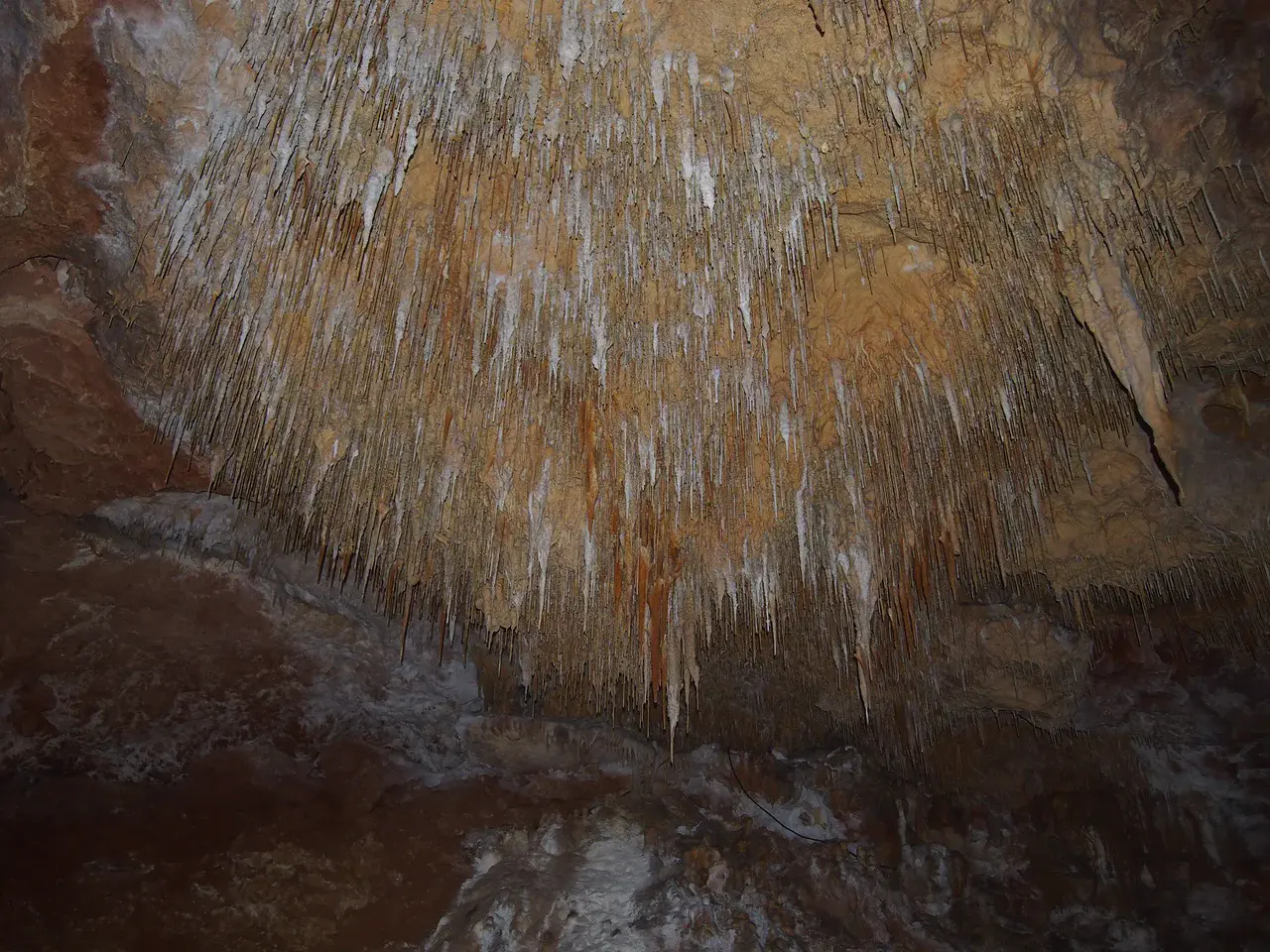 Stalactites in Yonderup cave (Credit: Andy Baker)