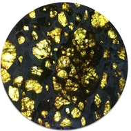pallasite
