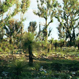 Ground above Yonderup Cave, southwest Australia, after the wildfire