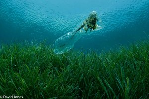 Floating bottle