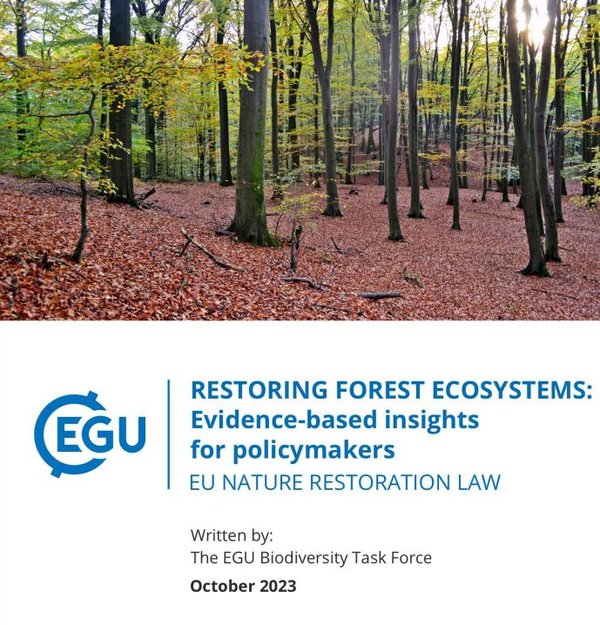 Square forest doc first page.JPG