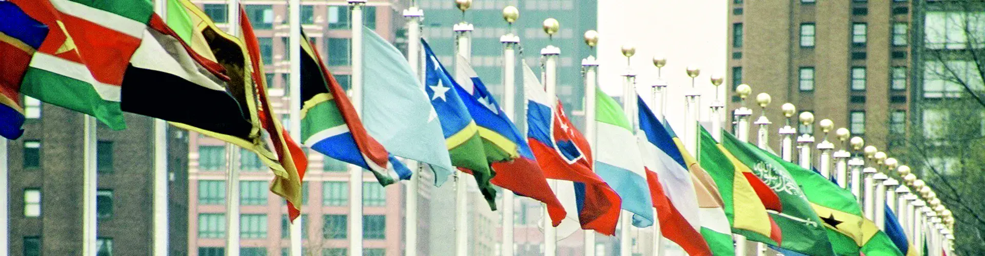 Flags outside the United Nations building (Credit: Wikimedia Commons)