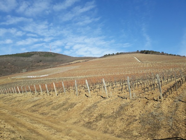 0_Image_Banner_image_from_Imaggeo.jpg