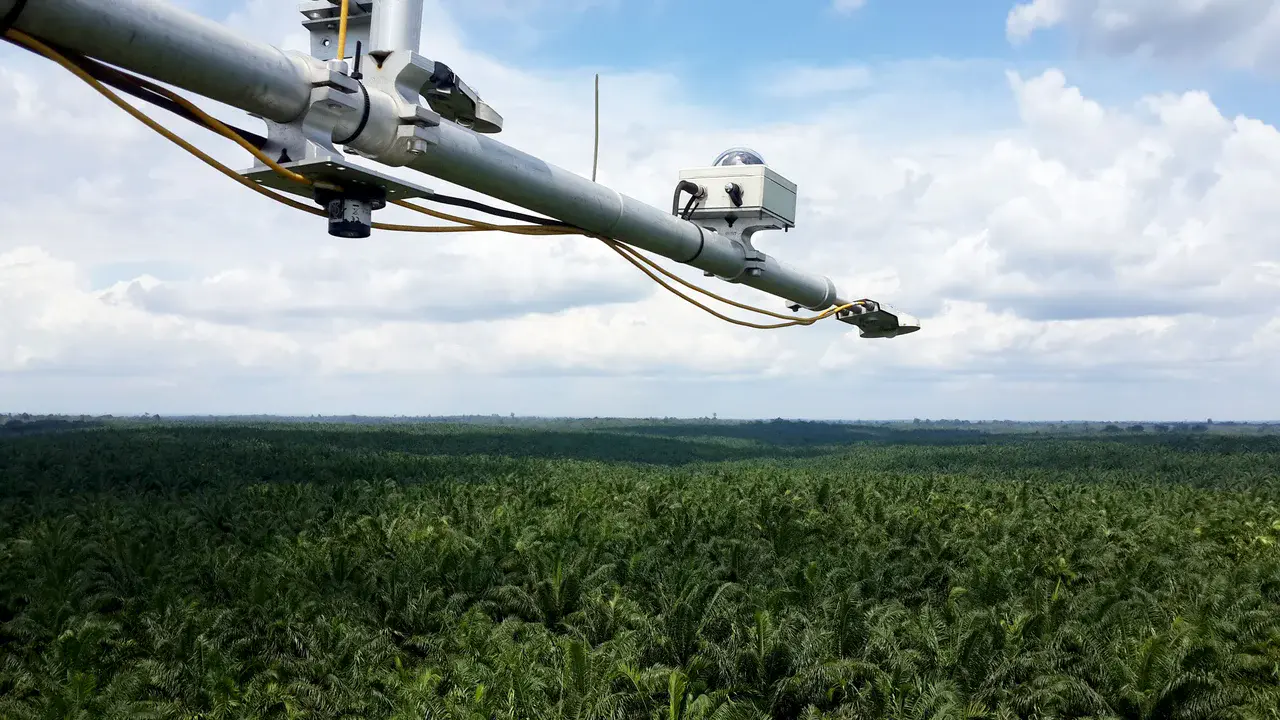 Radiation measurements above a mature oil palm plantation (Credit: Ana Meijide)