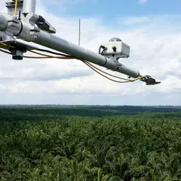 Radiation measurements above a mature oil palm plantation