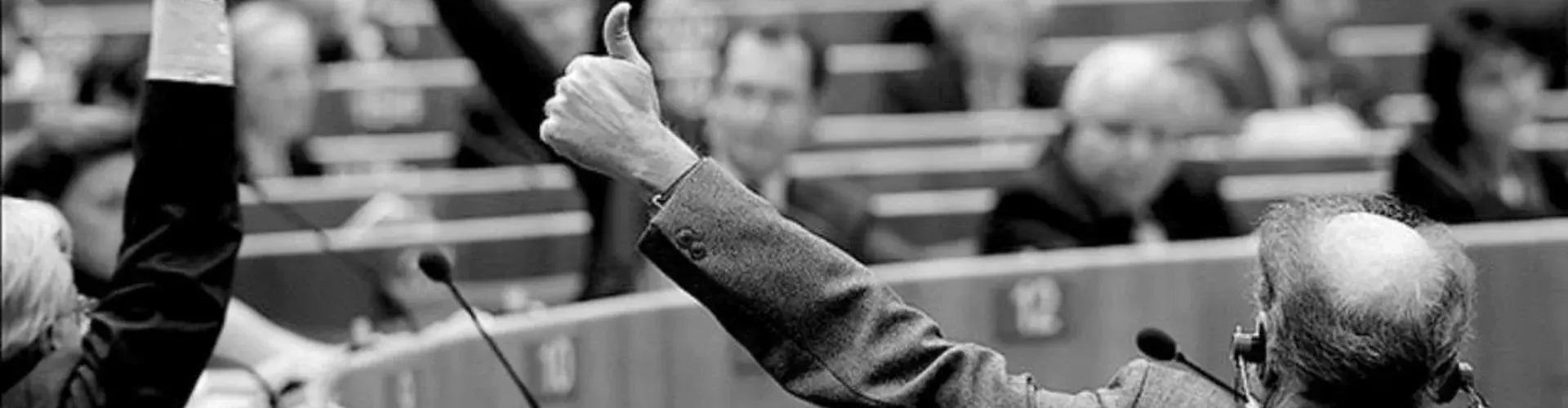 Members of the European Parliament voting on a resolution during Brussels plenary session, 03 December 2008 (Credit: European Parliament/Pietro Naj-Oleari, distributed via Flickr)