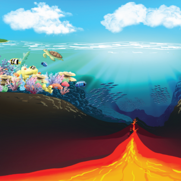blog_reefs.png