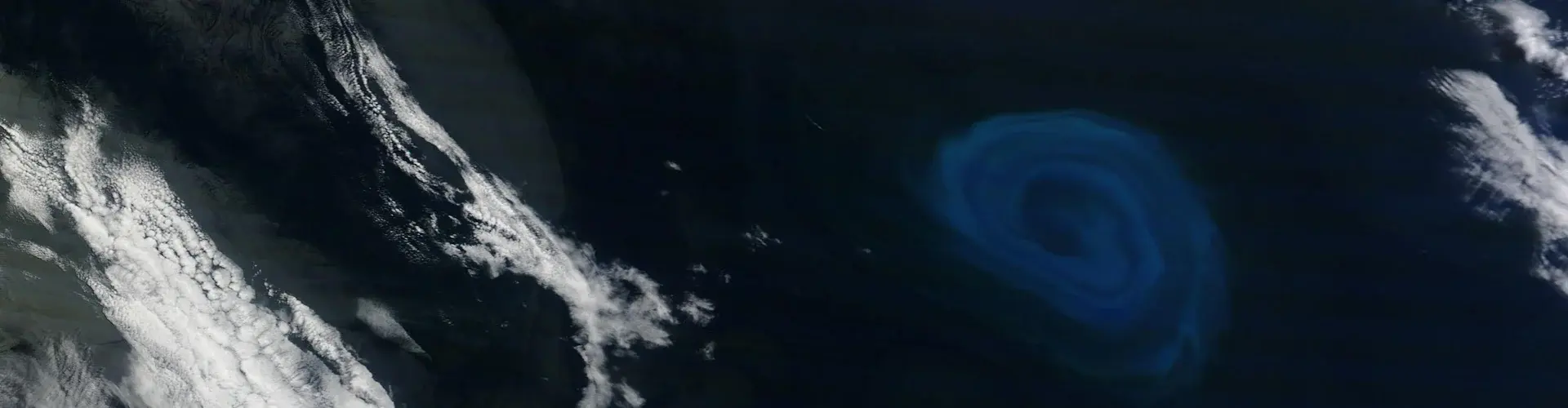 Example of an ocean eddy (not from the study) as seen from space (Credit: NASA Earth Observatory)