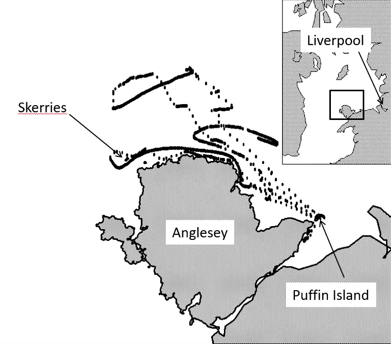 Track of one of the tagged birds (Credit: Cooper et al., Ocean Science, 2018)