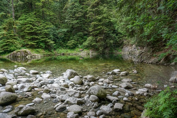 river.webp