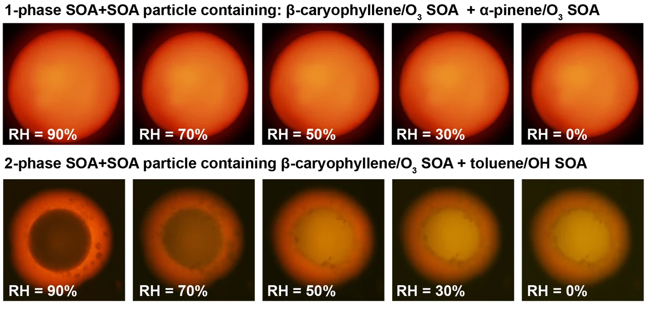 UBC-EGU press release_Phases of SOA particles