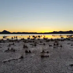 Lordsburg Playa, New Mexico, USA